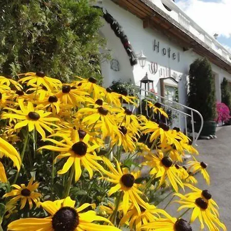 Willms Am Gaisberg Hotel