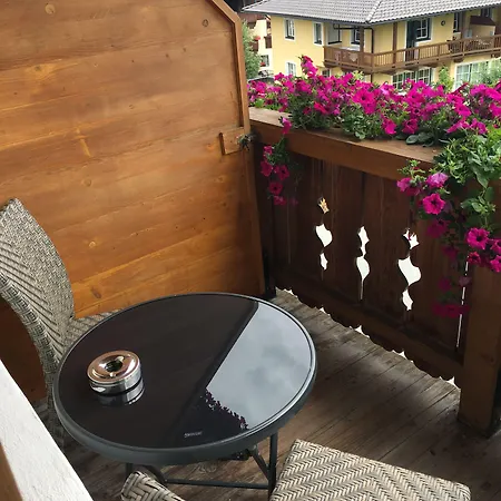 Hotel Willms Am Gaisberg 3*