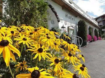 Willms Am Gaisberg 3* Kirchberg in Tirol