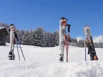 Hotel Willms Am Gaisberg 3*