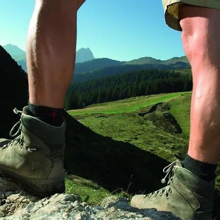 Willms Am Gaisberg