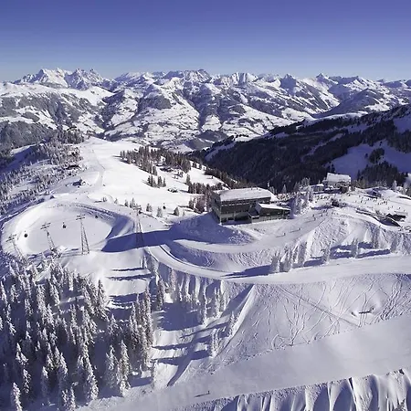 Willms Am Gaisberg