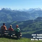 Willms Am Gaisberg